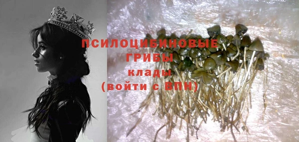 дмт Струнино